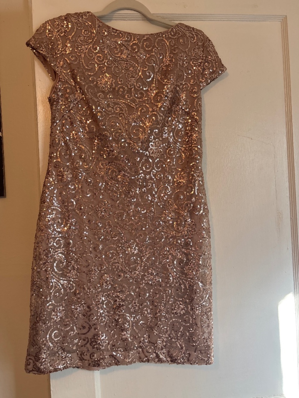 Elegant Sequin Dress